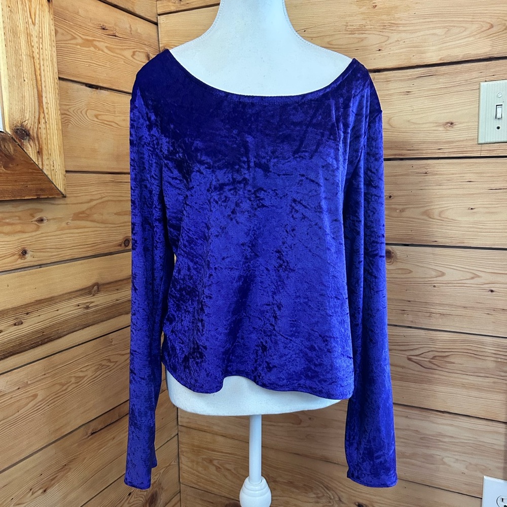Vintage Women’s XL Royal Purple Velvet Long Sleeve Top Soft Luxe Dark Romantic